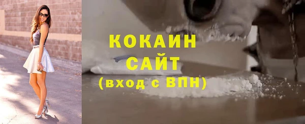 mix Богородицк