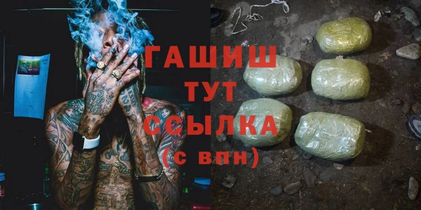 индика Бугульма